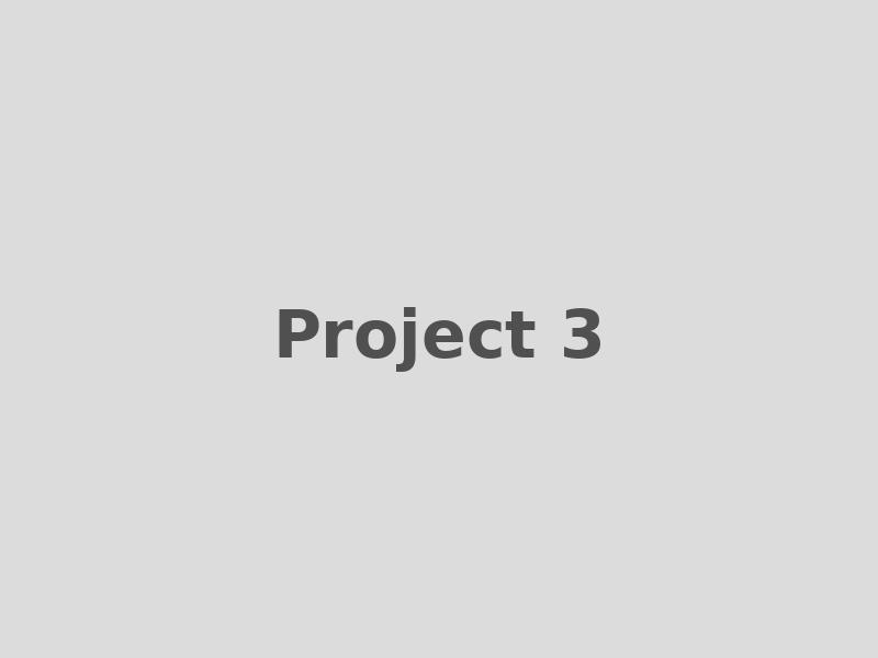 Project 3
